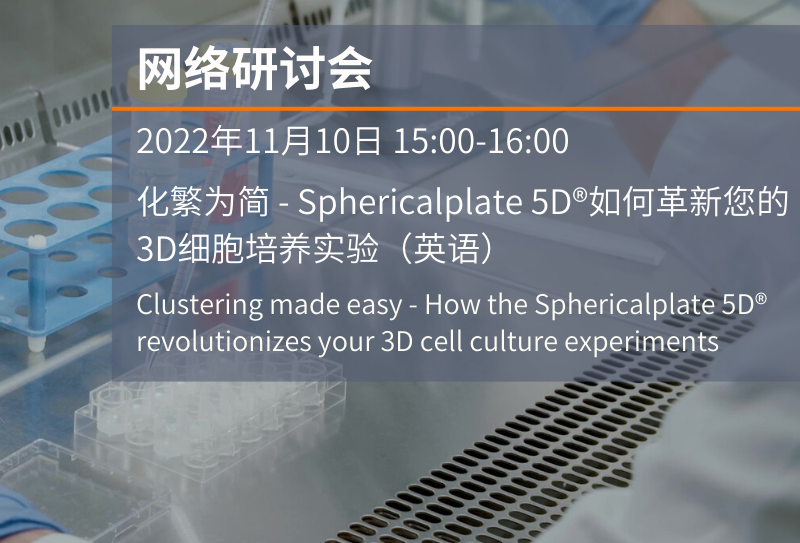 Maroon Overlay Travel Infographic (4) (1).png Maroon Overlay Travel Infographic (4) (1).png