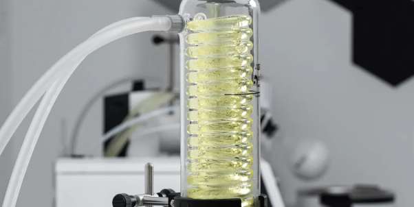 1729560653550.jpg 1729560653550.jpg